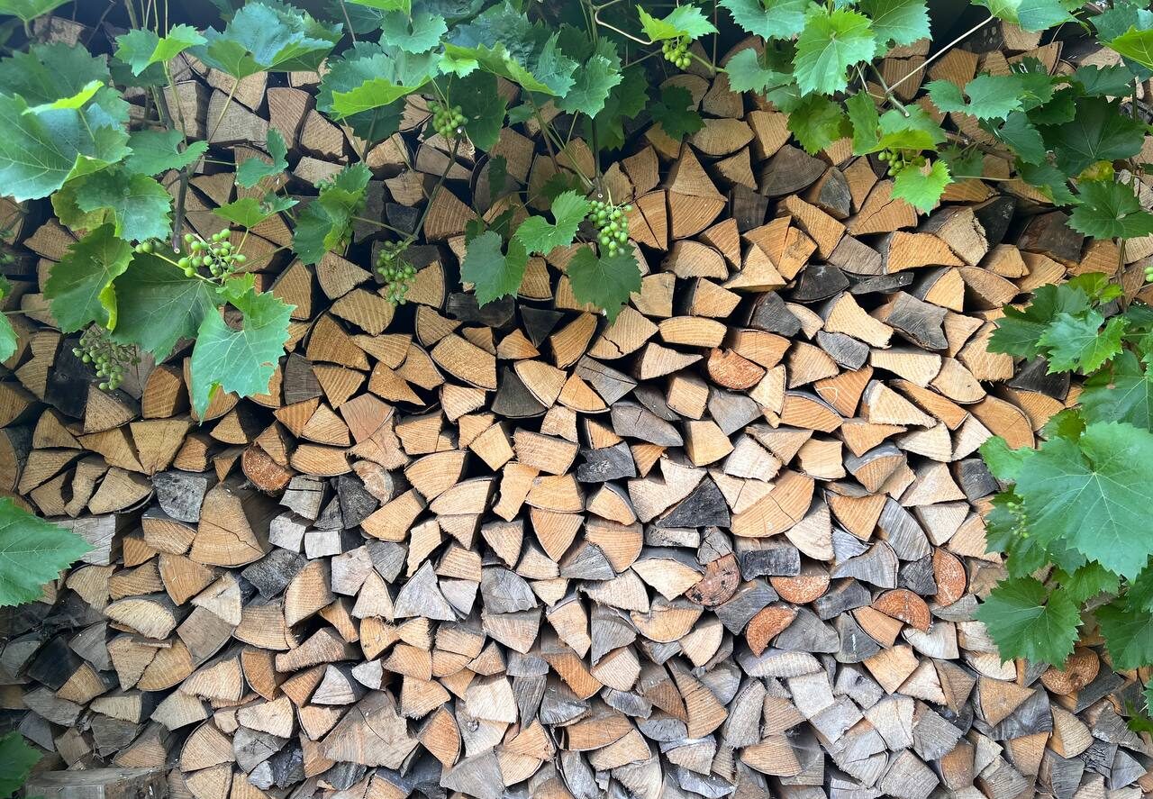Holzbeige in Berghülen Steinwoll mit Traubenblättern
