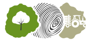 Brennholz und Holztransport Enderle